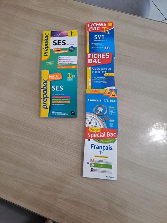 Lot de livres bac - photo numéro 5
