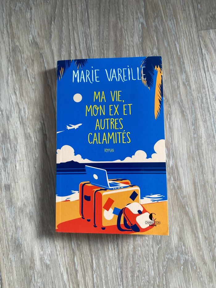 Roman Ma vie, mon ex et autres calamités