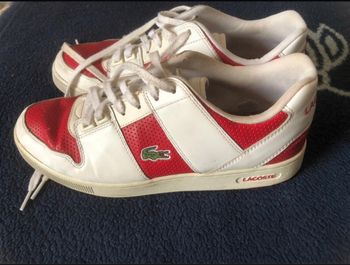 Basket Lacoste pointure 43