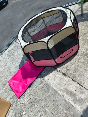 Parc pliable rose pour chien 
