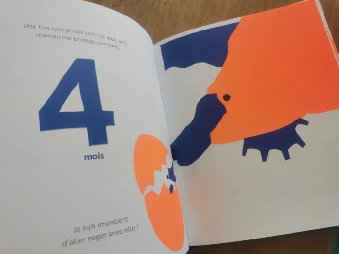 🌼 Ma maman et moi – Album documentaire jeunesse Actes Sud Junior 📖 - photo numéro 4