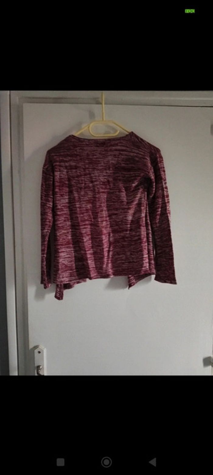 Gilet in extenso - photo numéro 3