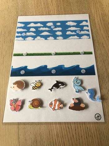 Fiche Montessori : Les animaux dans leurs environnements