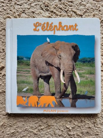 Livre enfant L'éléphant collection à 4 pattes Milan jeunesse