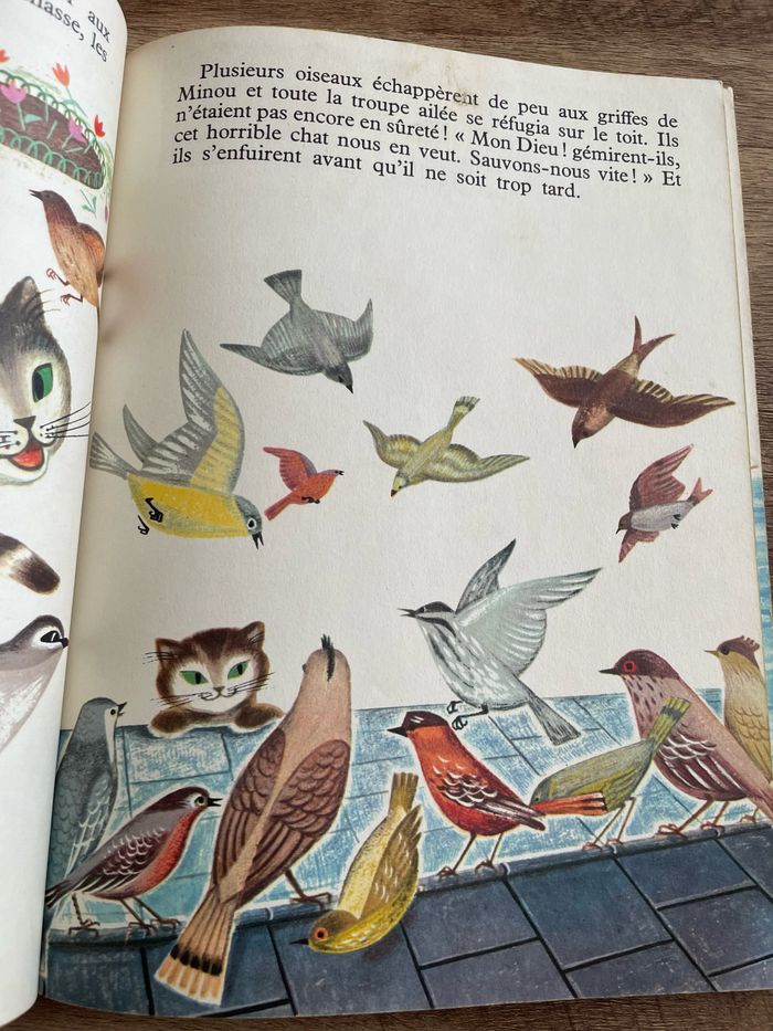 Le chat du capitaine - photo numéro 6