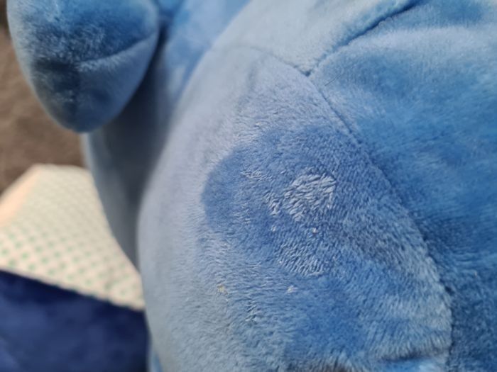 Chien activité - photo numéro 4