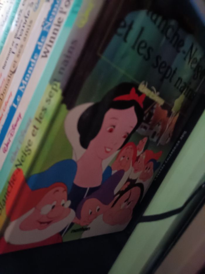 Livres 📚 Walt Disney - photo numéro 7