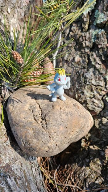 Super figurine Pokemon Nintendo machoc