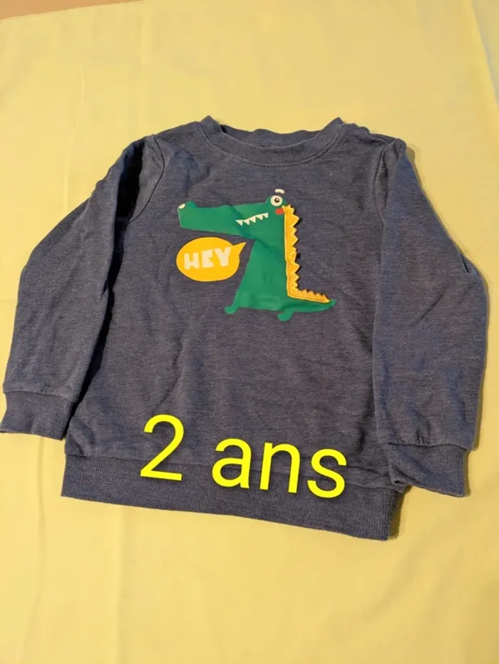 Sweat demi saison 2 ans garçon