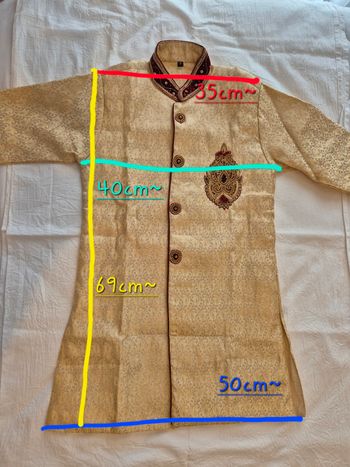 Tenue de fête (inde)
