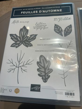 Lot neuf Feuilles d’automne Stampin’up!