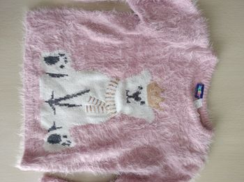 Pull fille 4 ans
