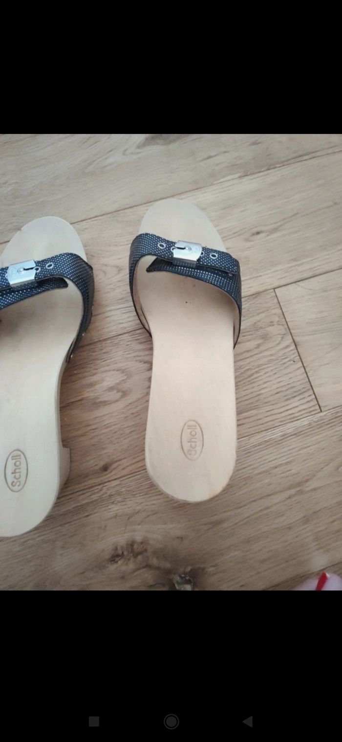 Mule Scholl - photo numéro 9