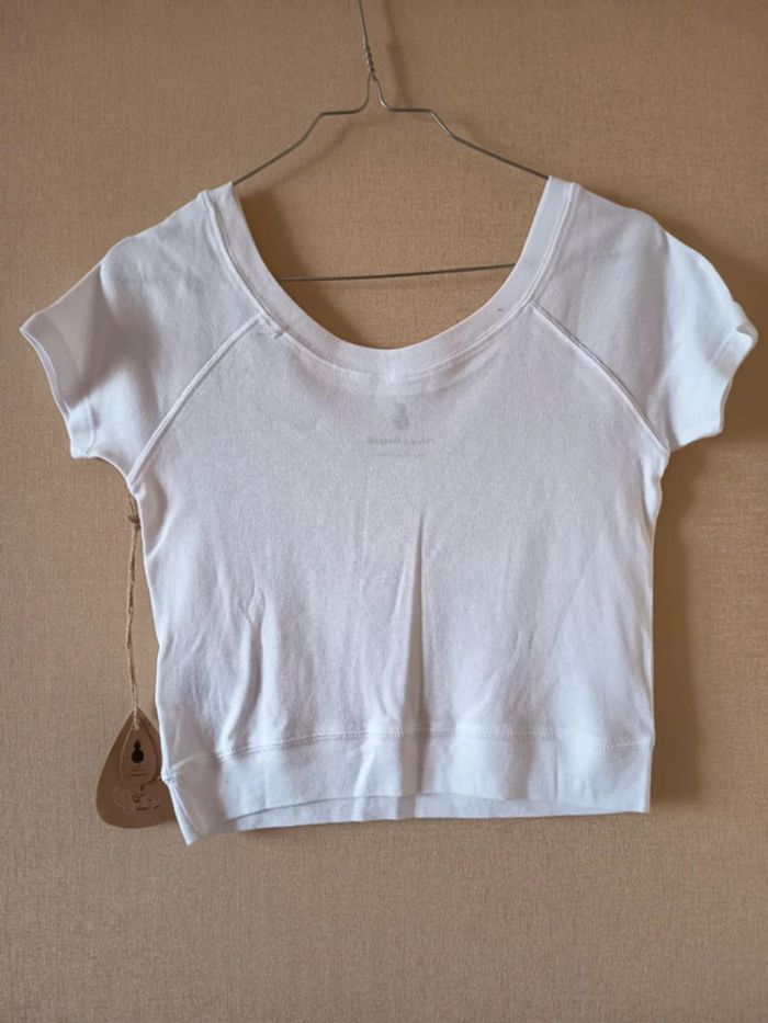 Crop top. Marque Pinepo (952). - photo numéro 2