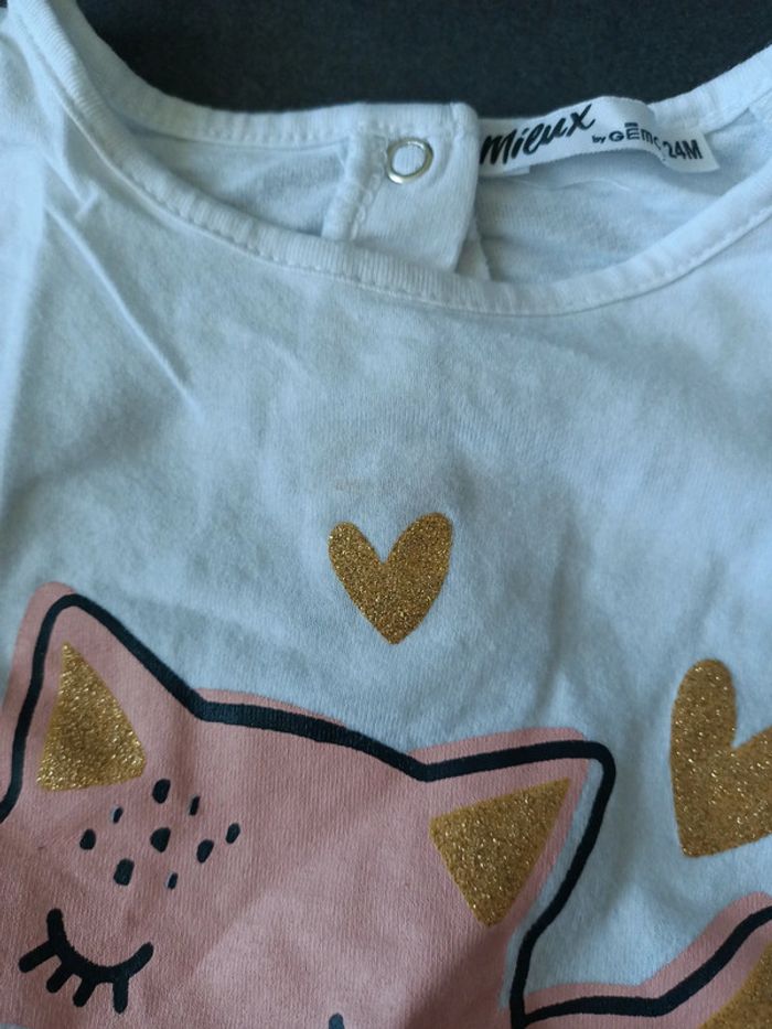 Lot tee shirts manches longues, 24 mois - photo numéro 7