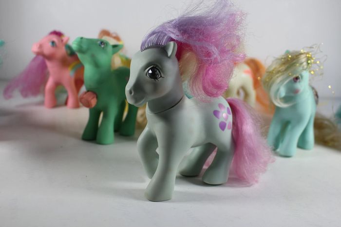 Hasbro Little Pony Troupeau 10 G1 - photo numéro 10