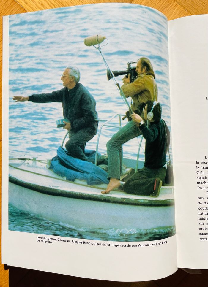 🐬 Les dauphins et la liberté - photo numéro 9