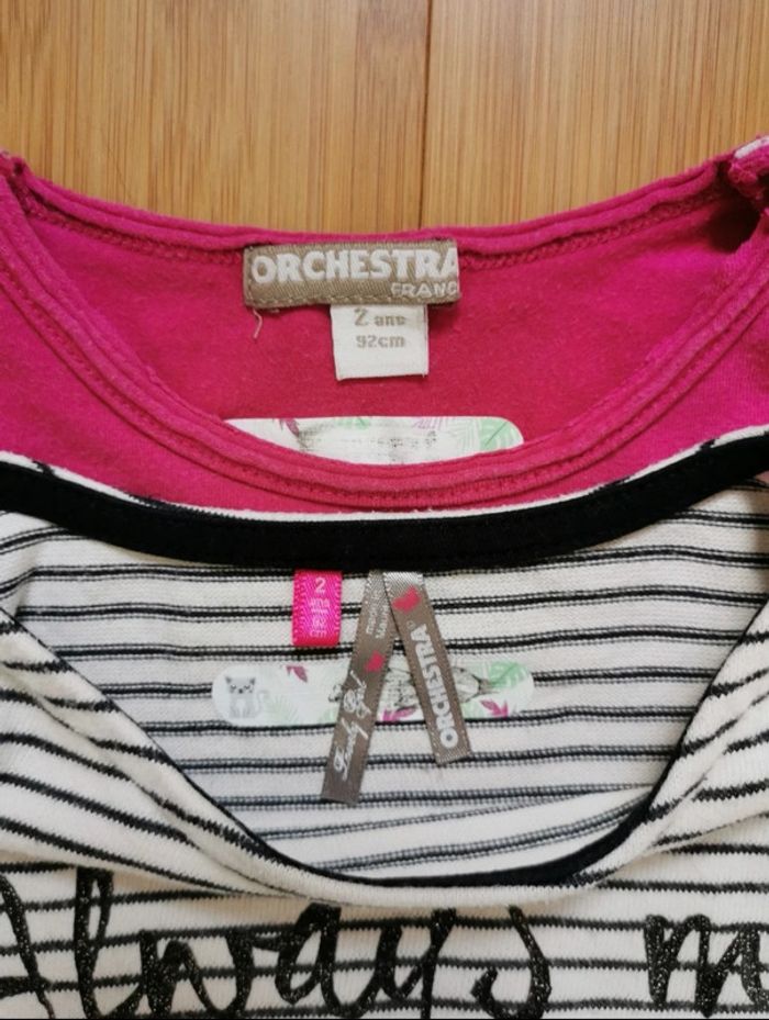 Lot 2 t shirt Orchestra 2 ans - photo numéro 6