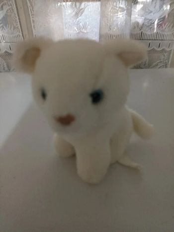 Peluche chat siplec
