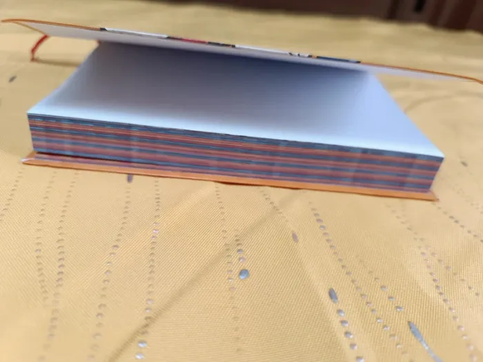 Agenda Sonic 2025-2026 neuf - photo numéro 7