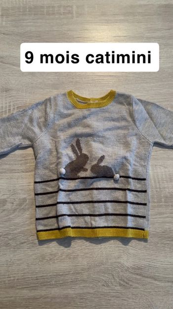 Pull léger