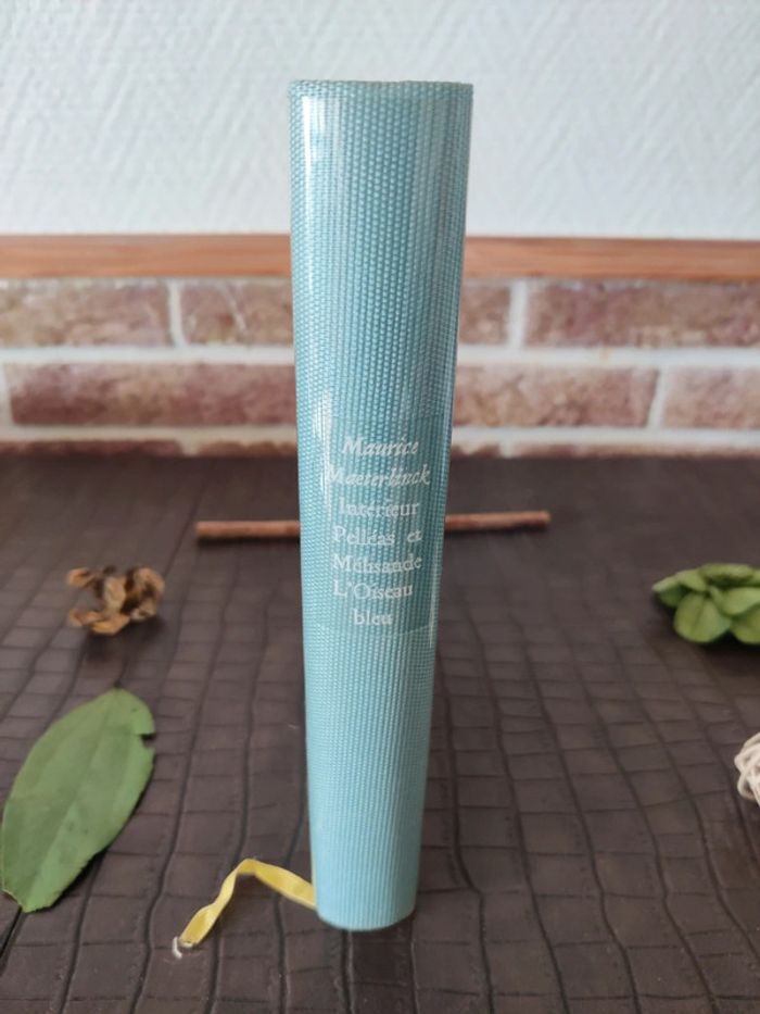 Intérieur Pelléas et Mélisande / L'oiseau bleu - Maurice Maeterlinck - photo numéro 4
