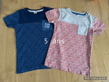 Lot 2 tshirts MC 5 ans - 110/116 cm