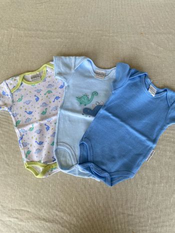 Lot 3 bodys manches courtes