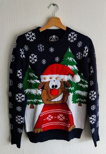 Pull Renne - Femme