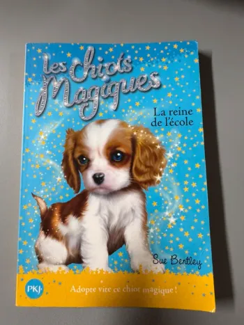 Livre Les chiots magiques La reine de l'école