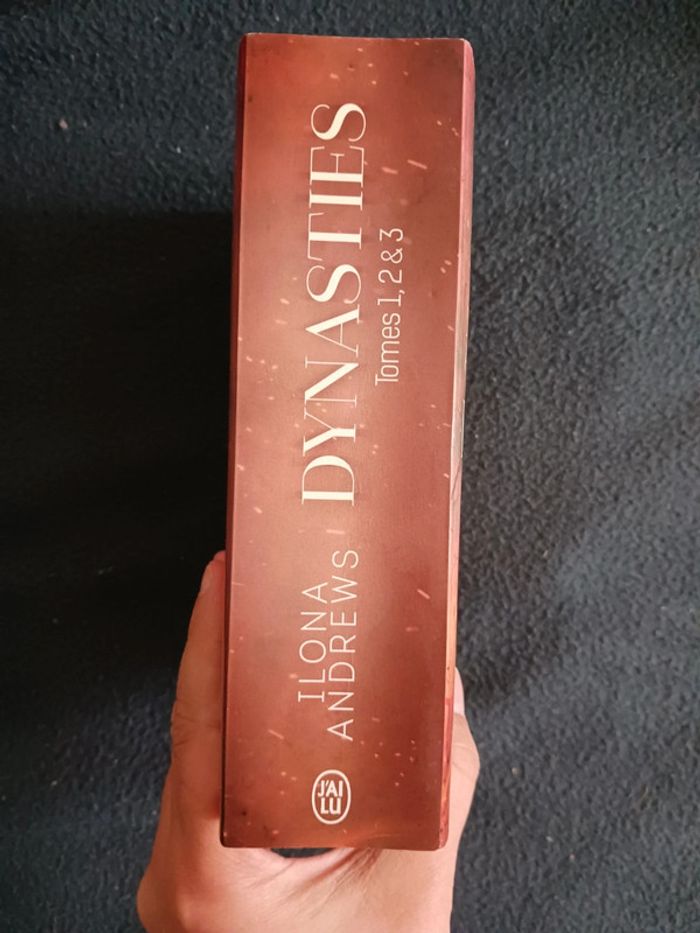 Integrale Dynasties - Ilona Andrews - photo numéro 2