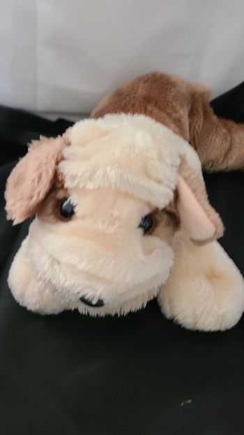 peluche chien bulldog marron blanc allongé billes menal