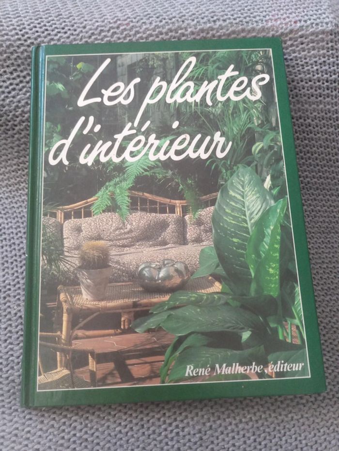 Les plantes d'intérieur