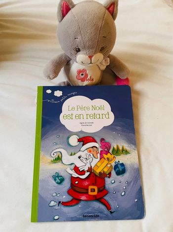 Livre le père noël est en retard