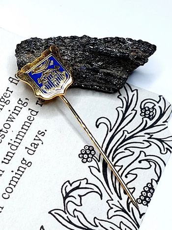 Magnifique broche épingle vintage