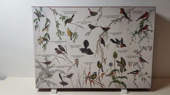 Puzzle penny puzzle 500 pièces