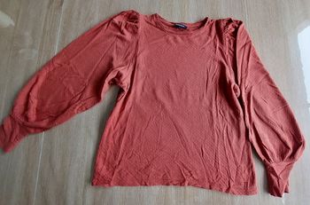 T.shirt Bonobo