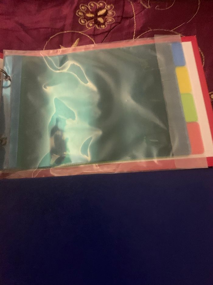 Lot de 2 classeur pour fiche bristol - photo numéro 4