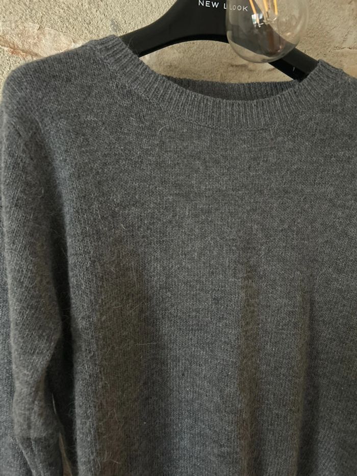 Pull dos nu - photo numéro 2