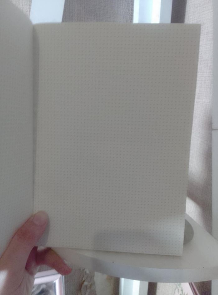 Cahier de notes sostrene grene - photo numéro 5