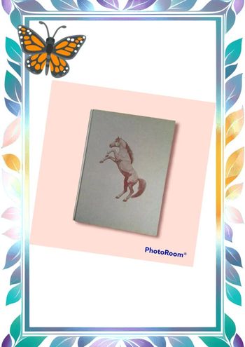 La passion des chevaux