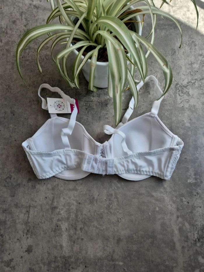 Soutien gorge - photo numéro 4