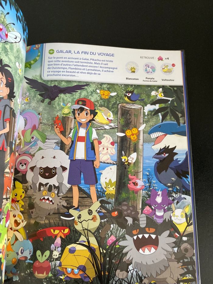 Livre Pokemon - photo numéro 4