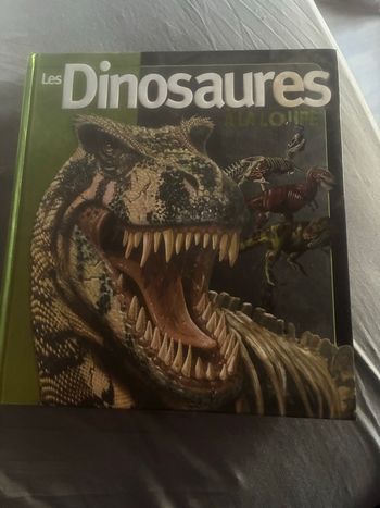Livre Les dinosaures 🦖 a la loupe 