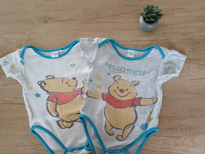 Lot 2 bodys