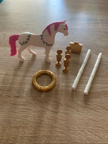 Licorne et accessoires Playmobil