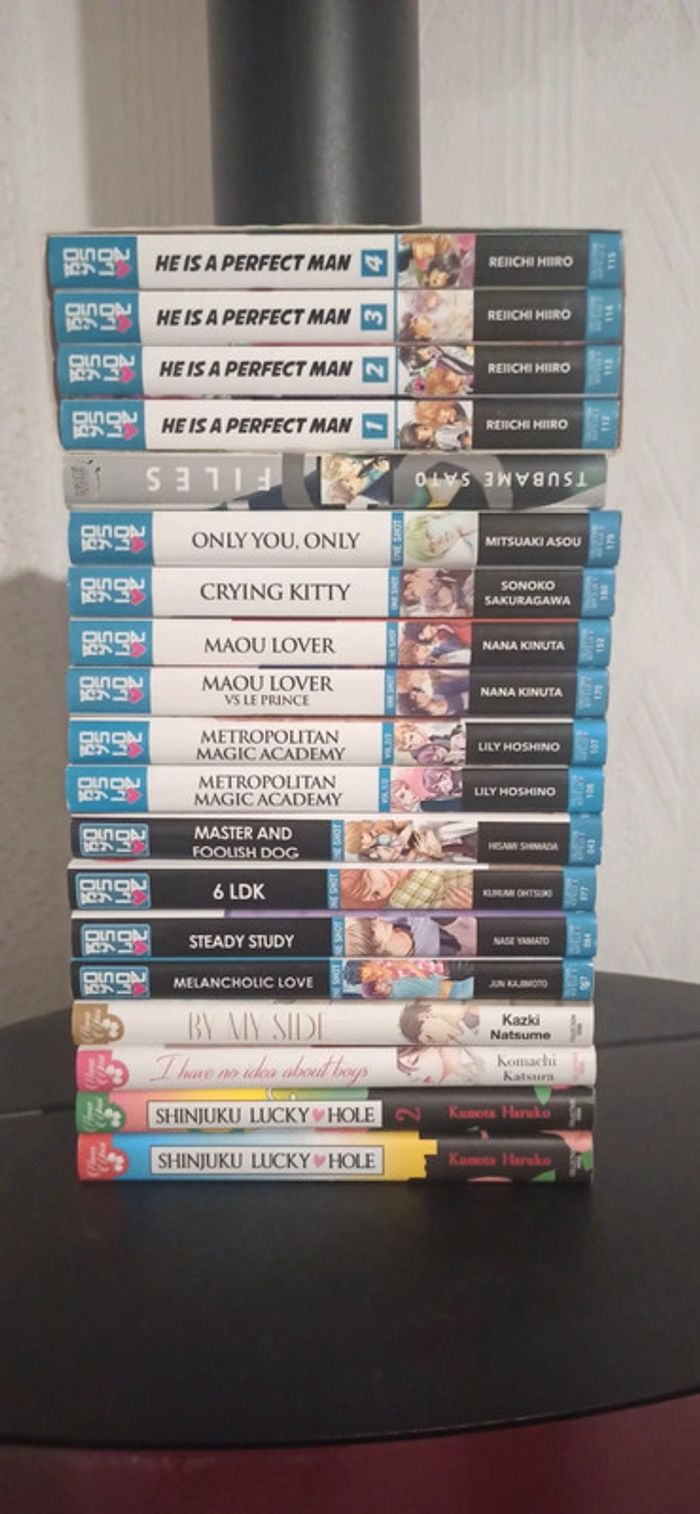Vends MANGA en Masse - photo numéro 3