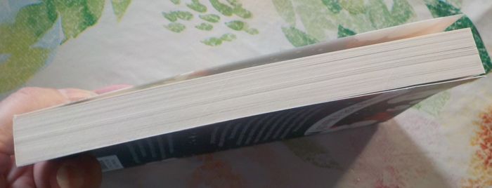 ETRANGE NOEL A MARCILLY de Caroline COSTA Ed. J'ai Lu - photo numéro 5