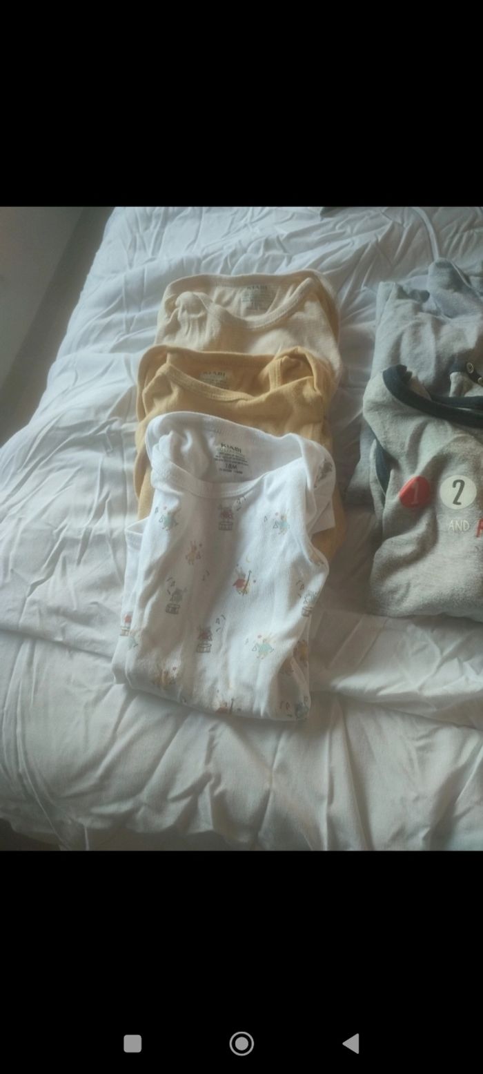 Lots bodies