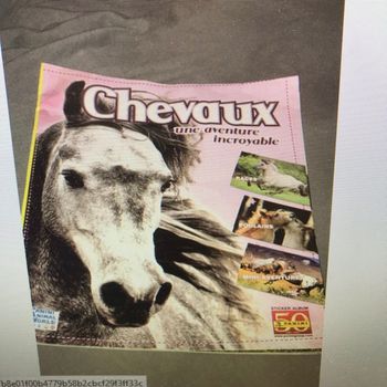 Collector chevaux